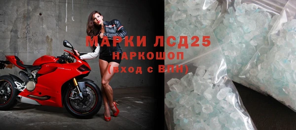 ПСИЛОЦИБИНОВЫЕ ГРИБЫ Пересвет