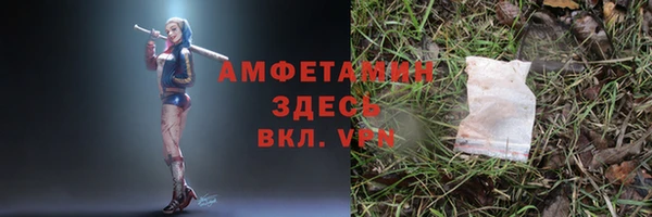 ПСИЛОЦИБИНОВЫЕ ГРИБЫ Пересвет