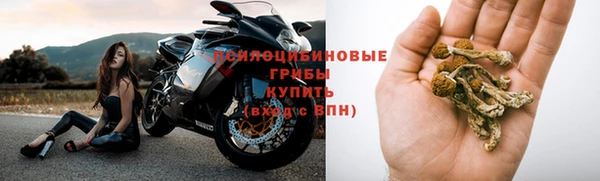 ПСИЛОЦИБИНОВЫЕ ГРИБЫ Пересвет