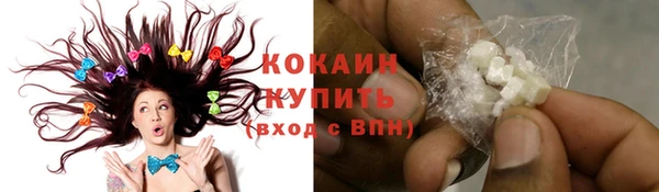 ПСИЛОЦИБИНОВЫЕ ГРИБЫ Пересвет