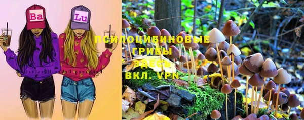 ПСИЛОЦИБИНОВЫЕ ГРИБЫ Пересвет