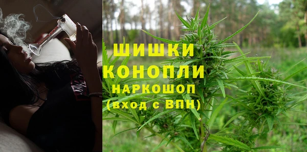 ПСИЛОЦИБИНОВЫЕ ГРИБЫ Пересвет