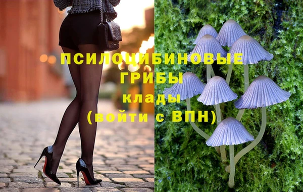 марки lsd Переславль-Залесский