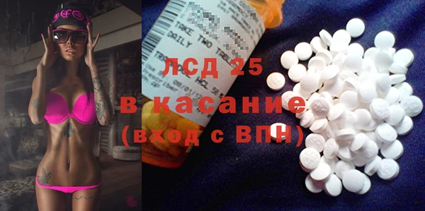 ПСИЛОЦИБИНОВЫЕ ГРИБЫ Пересвет