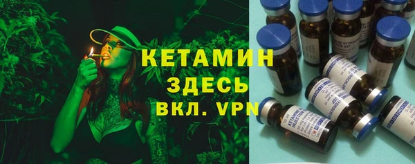 ПСИЛОЦИБИНОВЫЕ ГРИБЫ Пересвет