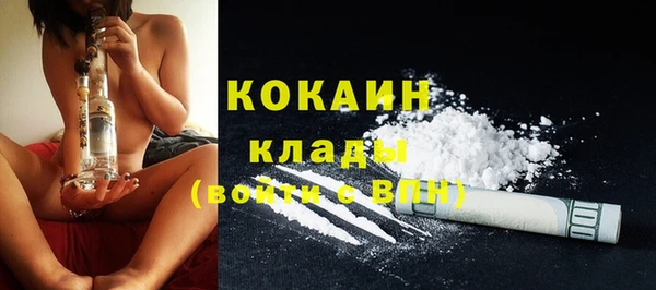 ПСИЛОЦИБИНОВЫЕ ГРИБЫ Пересвет